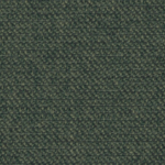 Candler Spruce