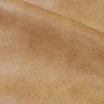 Jackson Camel
