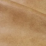 Jackson Camel