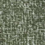 Lenkins Olive